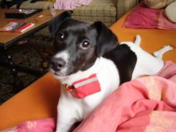 Resize of P1140028.jpg